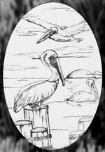 Oval Pelican Etched Glass Decals | (Static Cling) - Image 7