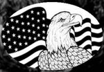 Horizontal Flag n Eagle Etched Glass Decals (Static Cling) - Image 1