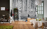 Birch Forest Wall Mural - Image 1