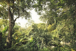 Wilderness Wall Mural - Image 2