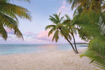 Paradise Morning Mural - Image 2