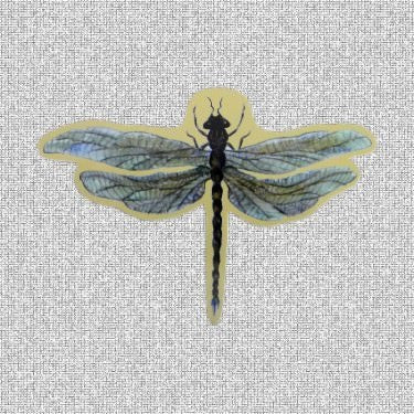Dragonfly Screen Door Saver Magnets (6.25" x 4.25") - Window Film World