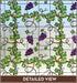 Grapevine Stained Glass | Privacy (Static Cling) - Window Film World